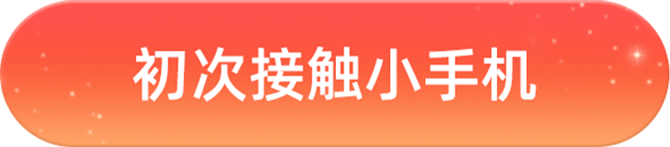 初次接触小手机